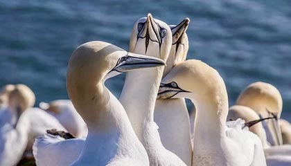 每周股票复盘：海螺水泥（600585）将召开2025年半年度业绩说明会