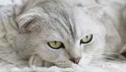 欣龙控股(000955.SZ)：半年度预亏45万元–90万元