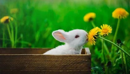 股市必读：欣龙控股(000955)股东户数3.56万户，较上期减少1.58%