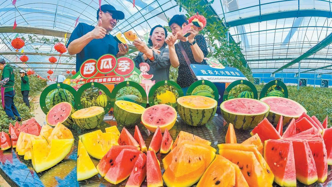 多彩西瓜迎夏日