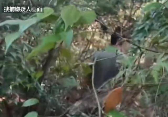 湖南一男子发疯行凶致3死1伤，研究生制止被刺身亡