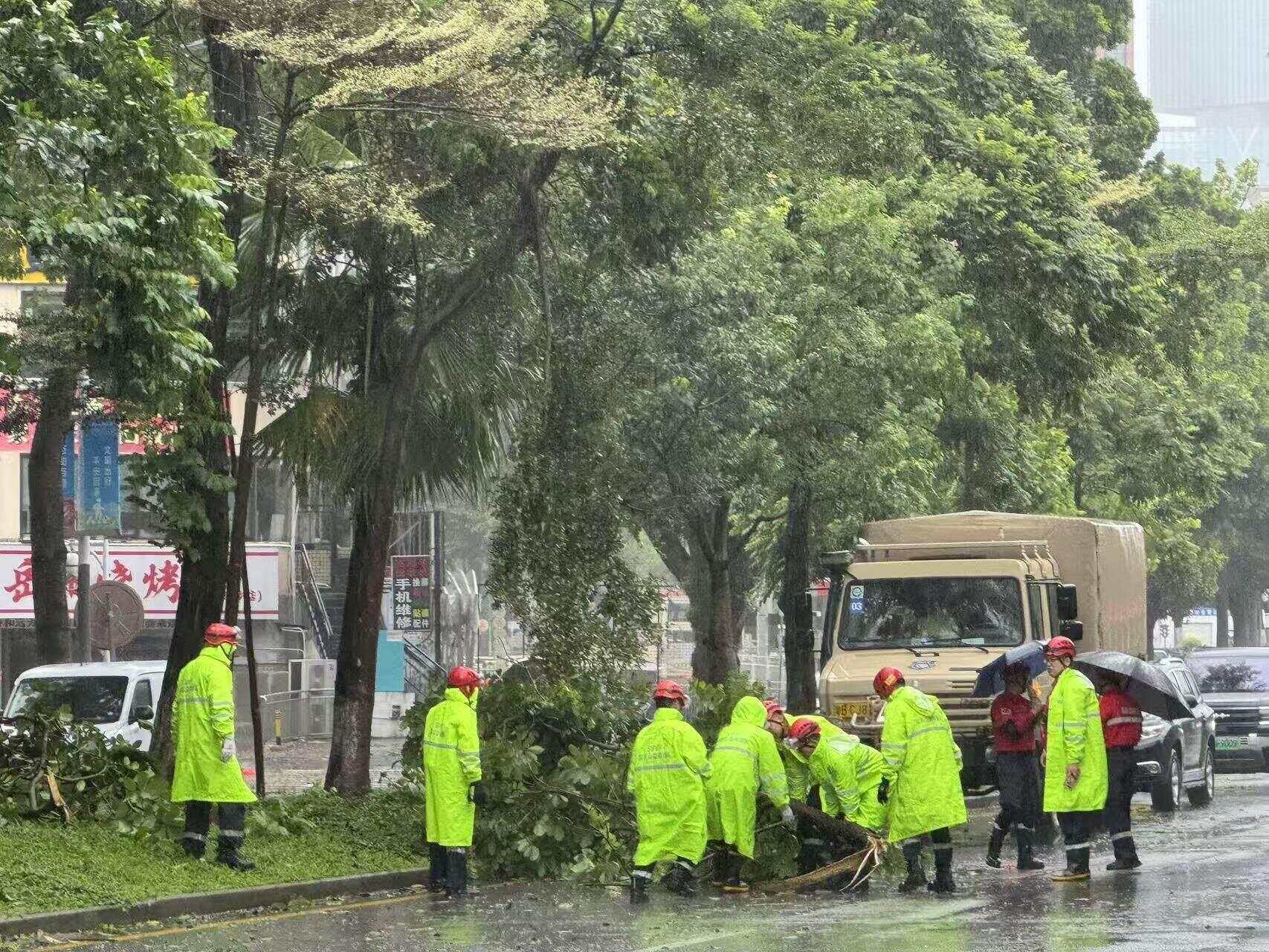 “桦加沙”卷倒行道树,深圳多部门昼夜清障开路