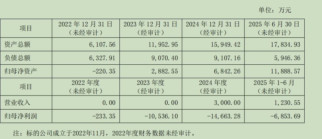 *ST仁东亿元“跨界”布局AI芯片，高溢价投资背后有哪些风险？