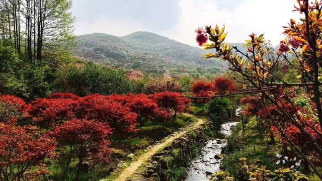 沃币(台沃小麦专用肥)