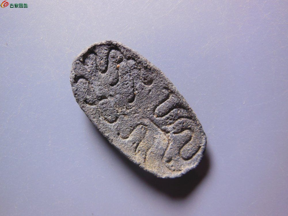龟币(龟币是什么意思)