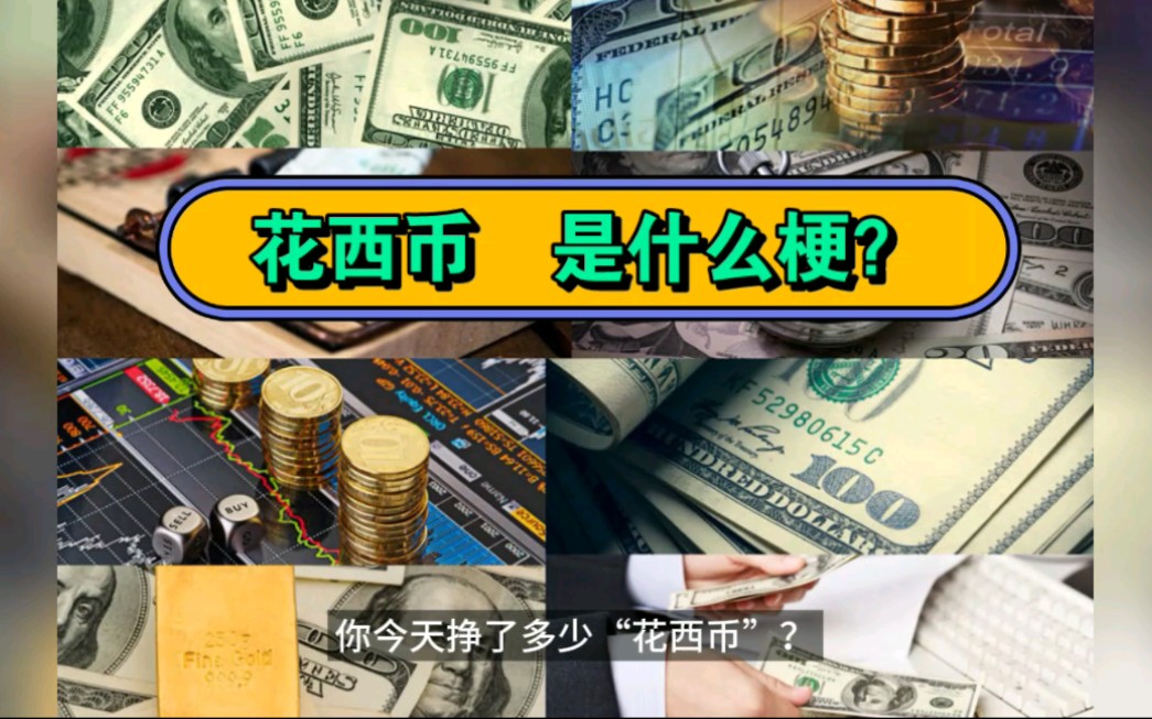 西币(西岛在三亚什么位置)