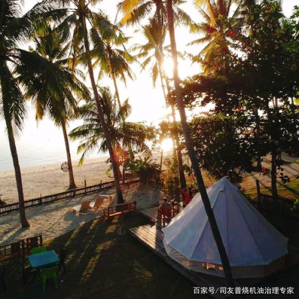 夜币(夜西湖利群多少钱一包)