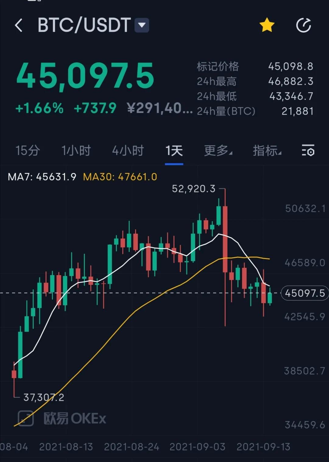 维特币今日价格(维特币可以投资吗)